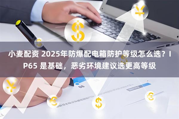 小麦配资 2025年防爆配电箱防护等级怎么选？IP65 是基础，恶劣环境建议选更高等级